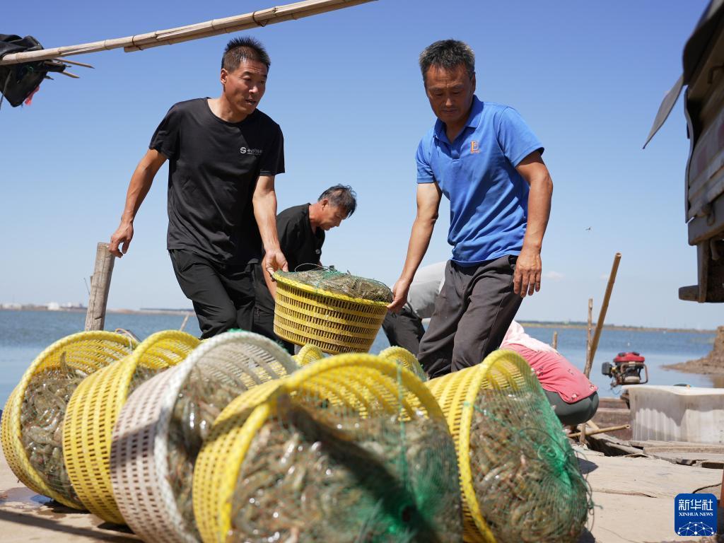 捕鱼大作战官方正版下载